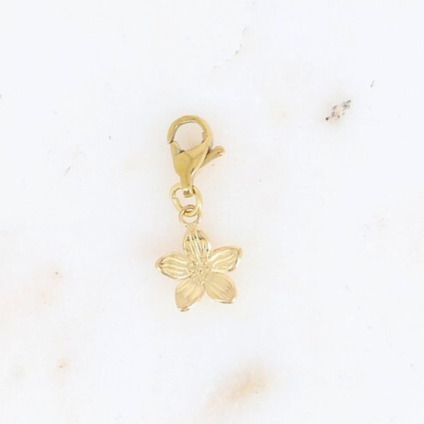 Charm Petite Fleur 2